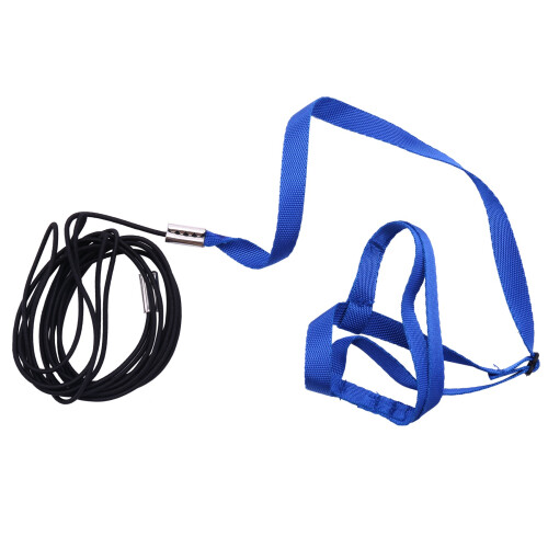 Pet Bird Harness and Leash,Adjustable Parrot Leash 2