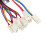36V 350W Electric Scooter Brushed Controller Motor 9