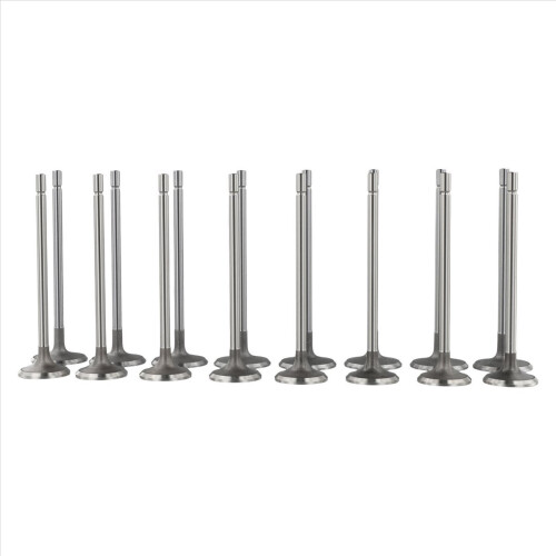 Automobile Engine Inlet Exhaust Valve Kit for Scen 2