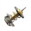 Engine Cooling Thermostat for Captiva SRX XTS 3.6L 4