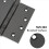 Stainless Steel Black 4Inch Door Hinges 3
