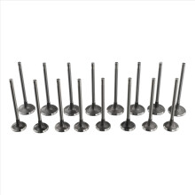 16 Pcs Intake Exhaust Valves for A3 A4 A5 A6 Golf