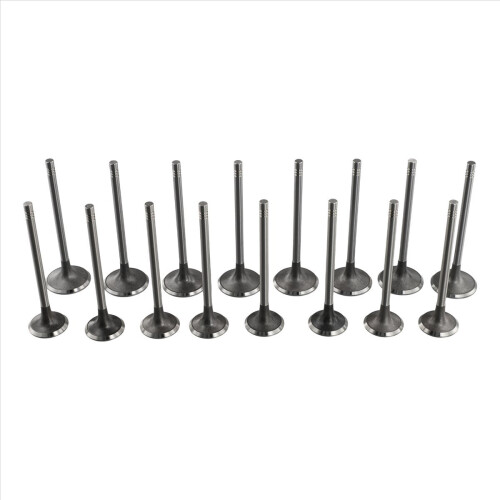 16 Pcs Intake Exhaust Valves for A3 A4 A5 A6 Golf