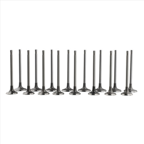 16 Pcs Intake Exhaust Valves for A3 A4 A5 A6 Golf 2