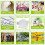 50PCS Aluminum Plant Labels Tree Double-Sided Tags 4