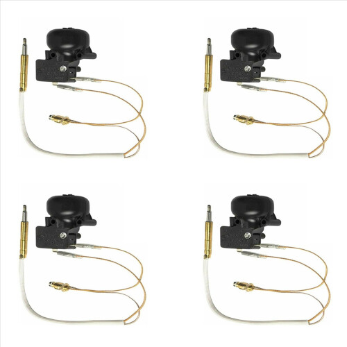 Thermocouple and Tilt Switch for Patio Heater Dump 1