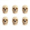 1:2 Disassembled Skull Anatomical Model Anatomy Skeleton 1