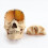 1:2 Disassembled Skull Anatomical Model Anatomy Skeleton 5