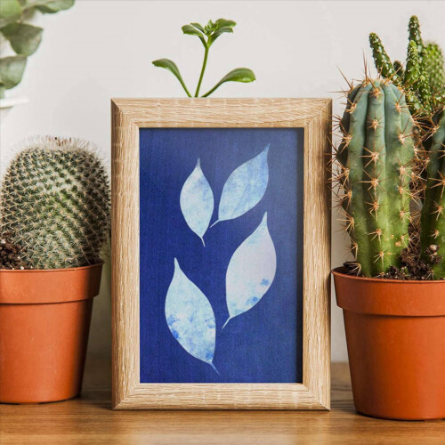 Sun Print Paper Kit,Cyanotype Paper,30 Sheets Cyanotype 2