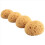 4Pcs Texture Sponge Drywall Patch 4