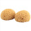 4Pcs Texture Sponge Drywall Patch 5