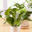 Bottle Cap Sprinkler Portable Plastic Plant 8