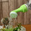 Bottle Cap Sprinkler Portable Plastic Plant 6