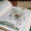 DIY Mechanical Spider Metal Model Kit 3D Puzzles Insects Assembly,D 6