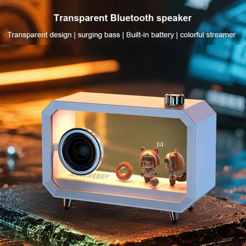DIY Transparent Bluetooth Speaker RGB B 2