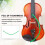 Violin Moisturizer, Sound Hole Maintenance Tools, Green 6