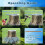 Copper Nails to Killing Trees,3.5 Inch Pure Bulk 6