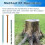 Copper Nails to Killing Trees,3.5 Inch Pure Bulk 4