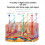 Foldable Spectrometer
Beauty Device
Colored Light Beauty Spectrometer 6