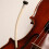 Violin Humidifier Sound Hole F 5