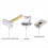 Gold Adjustable Double Edge Classic Safety Man Sha 6