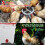 12Pcs Horizontal Chicken Waterer Nipples with Drill Bits 5