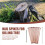 Copper Nails Kit to Killing Trees,3.5 Inch Pure Bulk 5