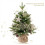 Mini Desktop Christmas Tree Rotating Music Box 6