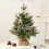 Mini Desktop Christmas Tree Rotating Music Box 3