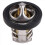 420222494 Thermostat for / Max 800 800R EFI 2006 - 3