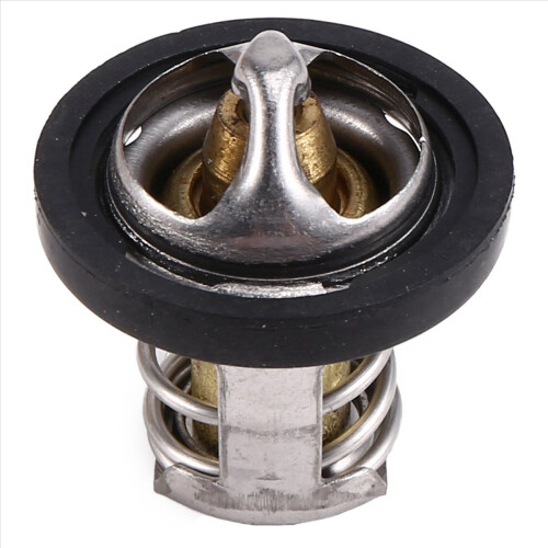 420222494 Thermostat for / Max 800 800R EFI 2006 - 2