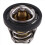 420222494 Thermostat for / Max 800 800R EFI 2006 - 2