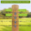 Fence Staples,Fence Nails for Softwood, Reusable W 5