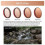 Lens Filter for Action 5 Pro/4/3 ND/ Light Reducing Polarising Camera Accessories ND16/ 5