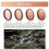 Objektivfilter für Action 5 Pro/4/3 – ND/Kit, verstellbare Filter, Kamerazubehör 7