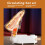 Intelligent Timer Shoe Dryer Adjustable Quick Drying Deodorizing Household Heater (US) 5