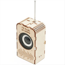 DIY FM-Radio-Modell-Wissenschaftsspielzeug für Kinder, STEM-Technologie-Experimentierkasten aus Holz, Lern- und Schulbedarf, B