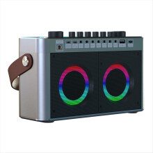 Tragbarer Karaoke-Lautsprecher mit Bluetooth-Soundkarte, 2 Mikrofonen und integrierter RGB-Beleuchtung für Zuhause