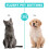 Recordable Dog Buttons, Buttons for Communication Pet Training Buzzer, Talking Button Set Funny Gift ,4PCS 6