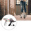 48V Controller+ZQ-100 Mileage Meter with Key Speed Adjustable Electric Scooter 6 Pin Display for 3