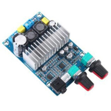 100W DC12-24V TPA3116 Subwoofer-Verstärker mit aktualisierter Ausgangsleistung