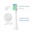 For EW-DC01 Replacement Electric Tooth Brush Heads Pink 4