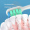 For EW-DC01 Replacement Electric Tooth Brush Heads Pink 6