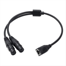 1 Stück Dual 3-Pin XLR-Buchse auf RJ45 Adapterkabel für -CON Controller-Serie und Aufnahmestudio