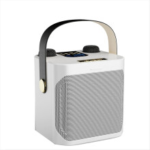 Leistungsstarker tragbarer Bluetooth-Karaoke-Lautsprecher mit 360-Stereo-Surround-Sound, wasserdichtem kabellosem Subwoofer und zwei Mikrofonen – B