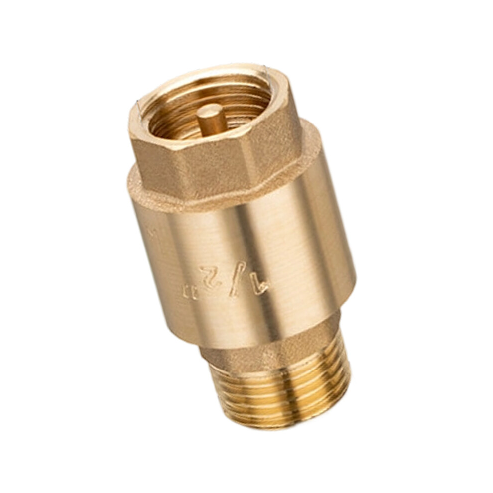 High Pressure Brass Check Valves Thickened-Intravenous Flow 7696000808147