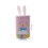 Easters Snack Box Candy Boxes Easters Packaging Box Rabbit-Pink 4