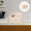 Casa De De Com Dupla Camada Para De Hamster 11