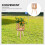 Wood Plant Stand: Estante De Trançada Com Estáveis 9