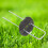 Landscape Staple U-Shaped Galvanized Pins with Gaskets and Hook 7